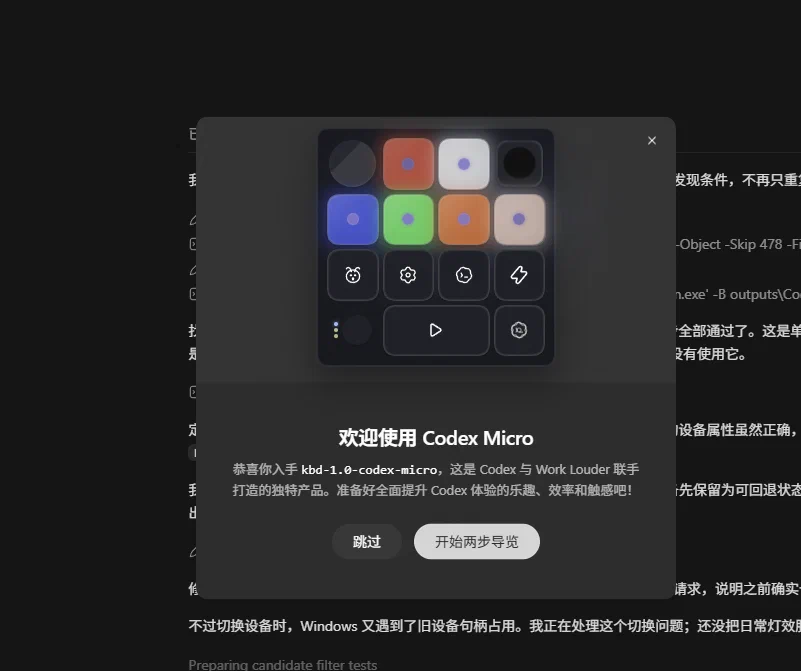 Codex Micro 欢迎向导
